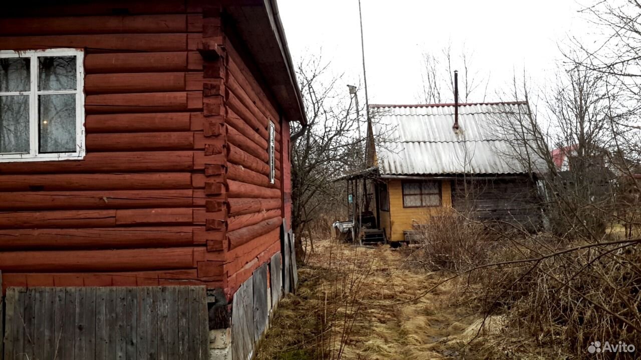 Черная Грива Тосненский Район Купить Дачу