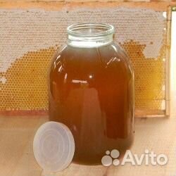 Вкусный Мёд прямо из лесной пасеки купить на Зозу.ру - фотография № 3