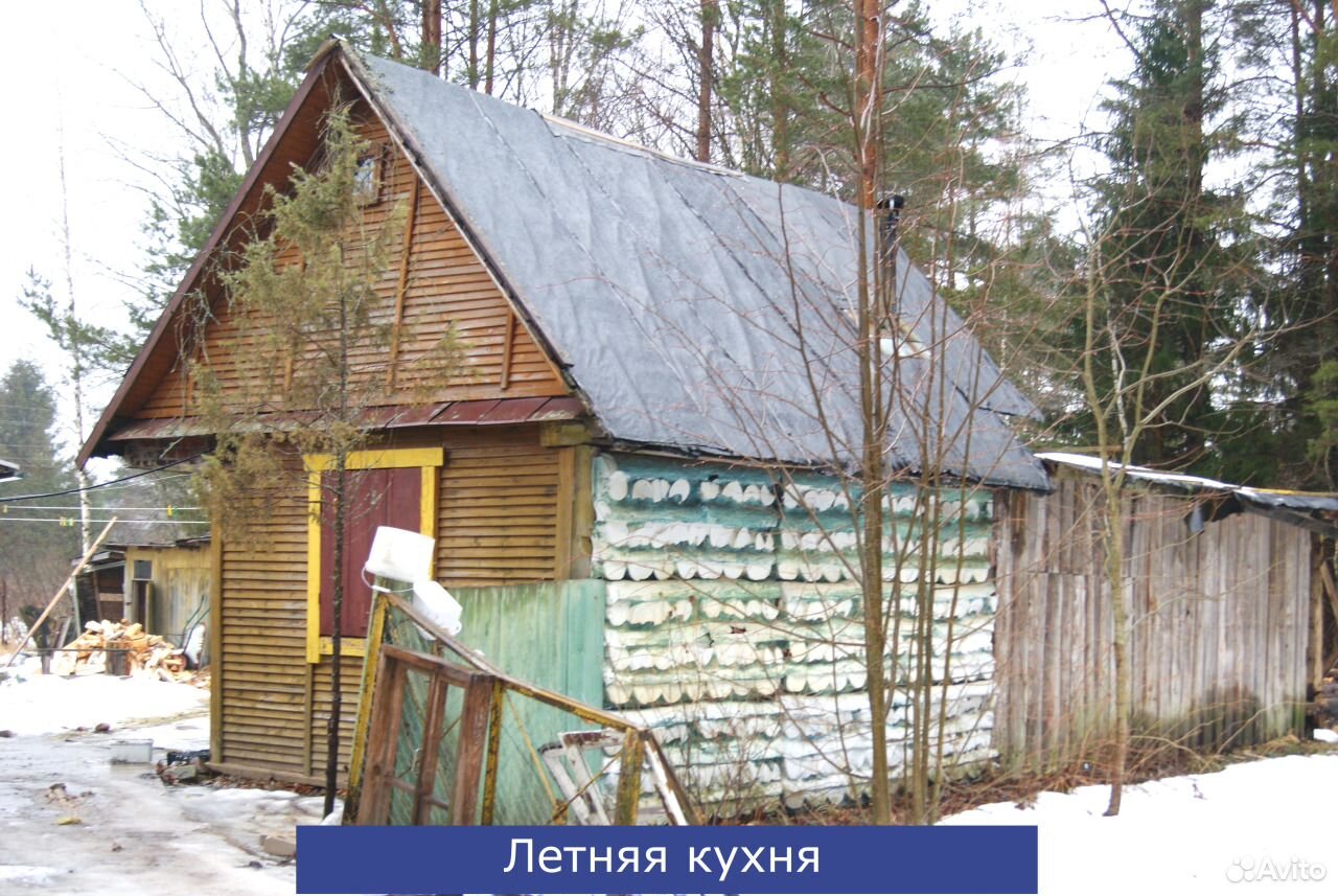 Купить На Авито Псковской Обл