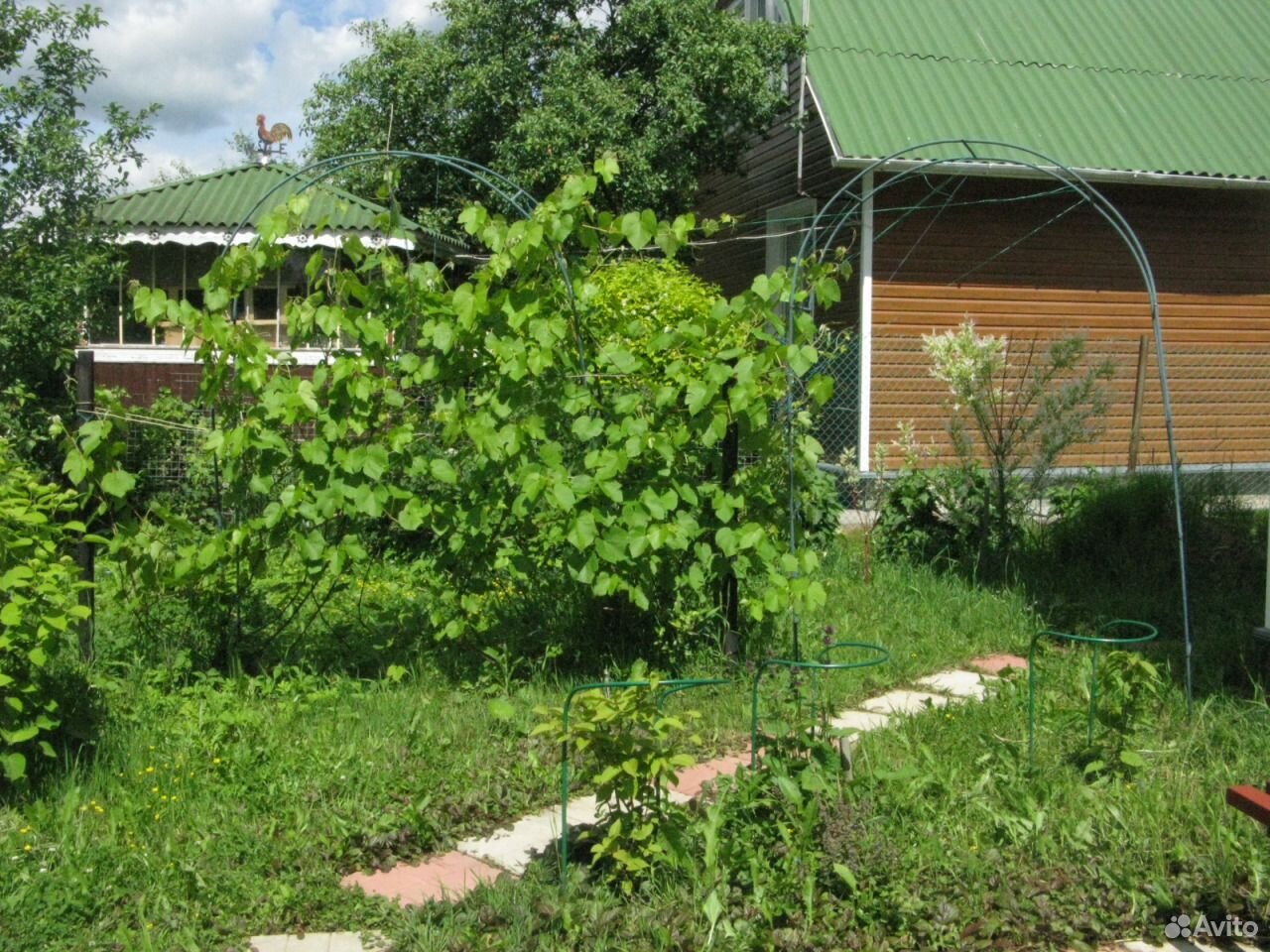 Дача калужская обл. СНТ медик 7. Дачу загородный Калужская обл. СНТ медик Северодвинск.