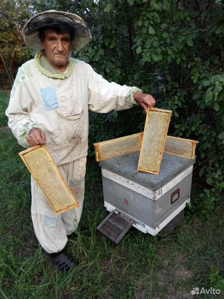 Продам мед из Тамбовской области купить на Зозу.ру - фотография № 6