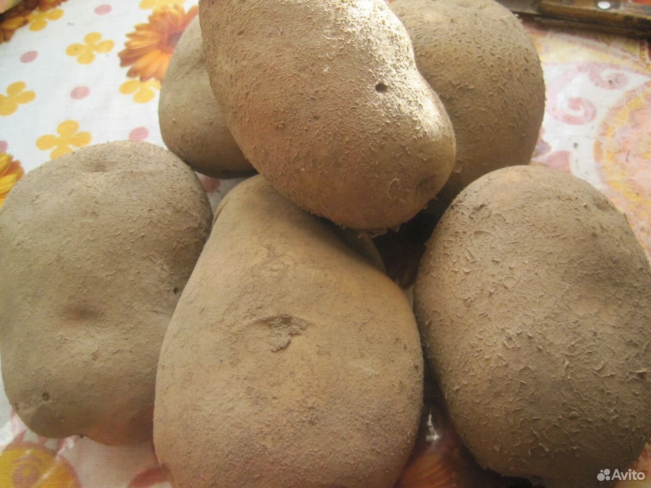 Вкусная картошечка купить на Зозу.ру - фотография № 1