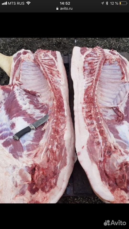 Мясо (свинина) оптом и в розницу от производителя купить на Зозу.ру - фотография № 3