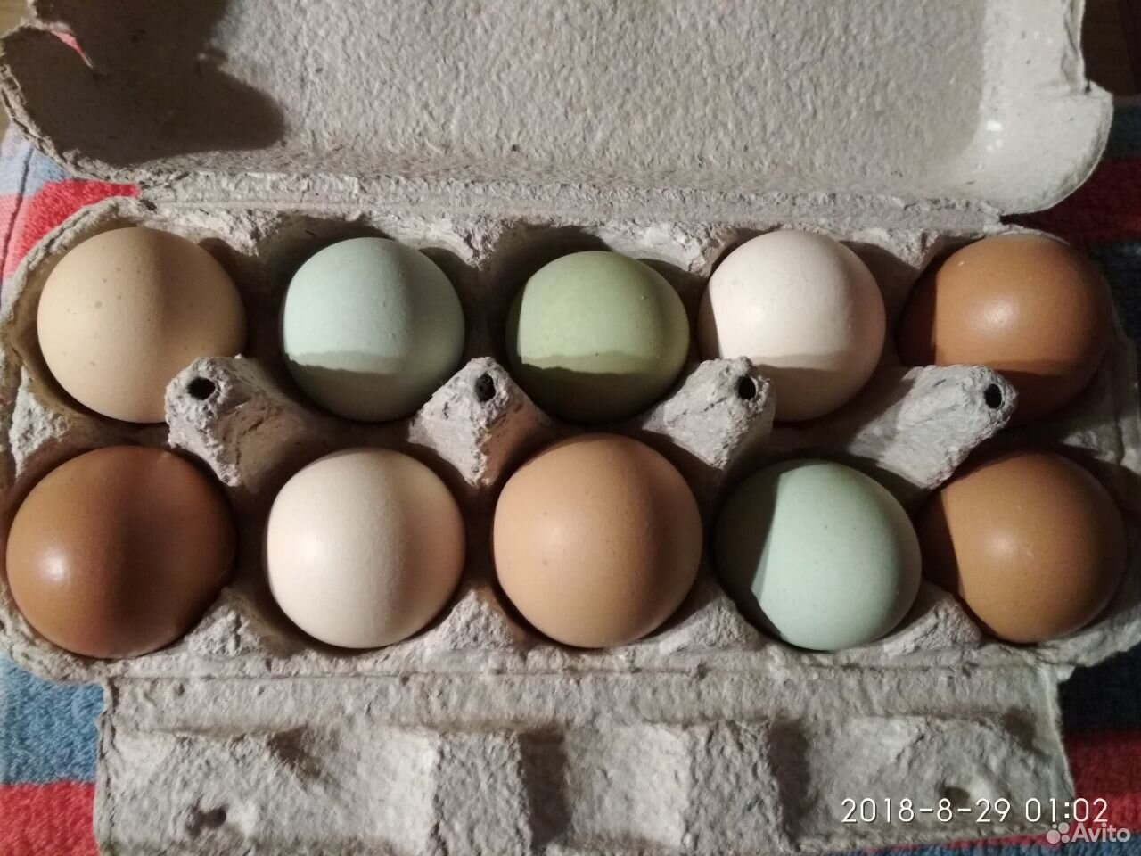 Деревенские куриные яйца купить на Зозу.ру - фотография № 2