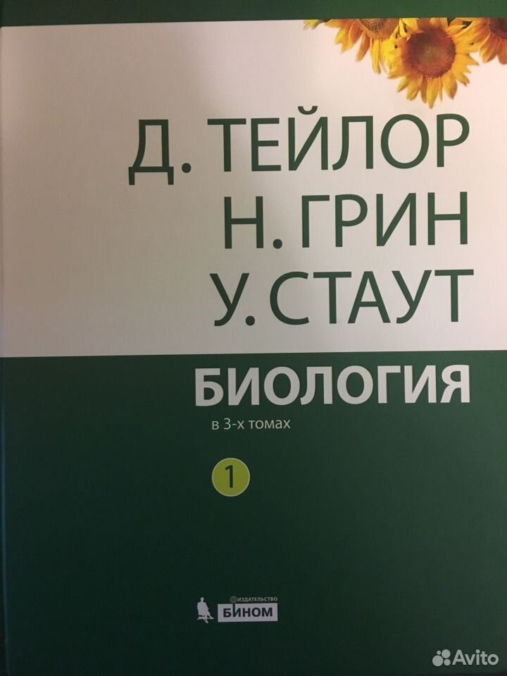 Тейлор стаут биология