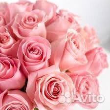 15 нежно розовых роз купить на Зозу.ру - фотография № 2