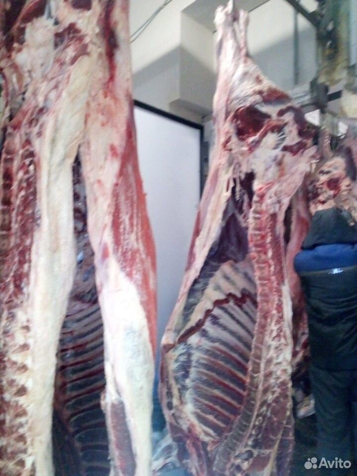 Мясо быков в полутушах купить на Зозу.ру - фотография № 2