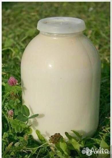 Козье молоко купить на Зозу.ру - фотография № 2