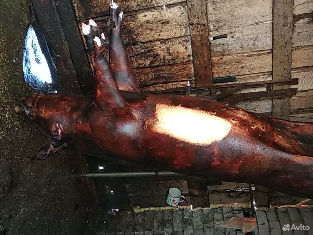 Домашняя свинина купить на Зозу.ру - фотография № 8