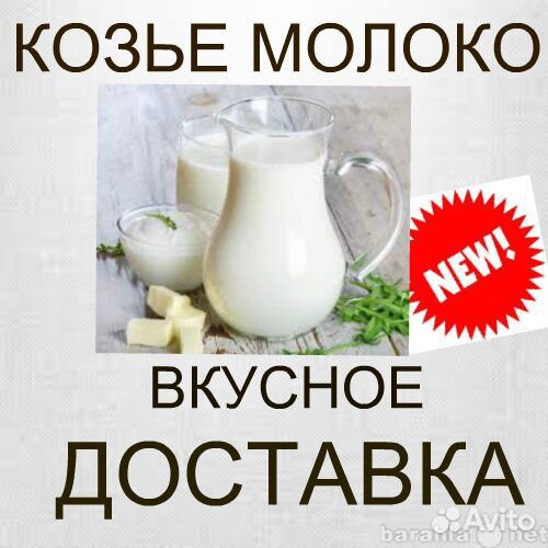 Продам козье молоко купить на Зозу.ру - фотография № 4
