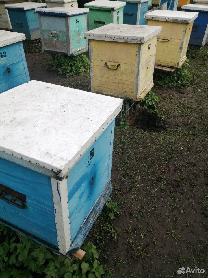Пчело пакеты купить на Зозу.ру - фотография № 3