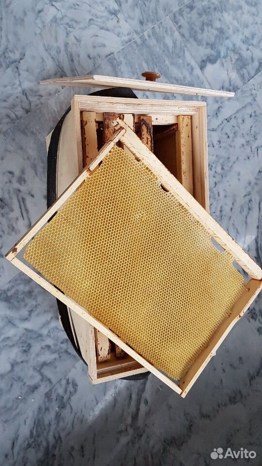 Ящик для пчелопакета купить на Зозу.ру - фотография № 1