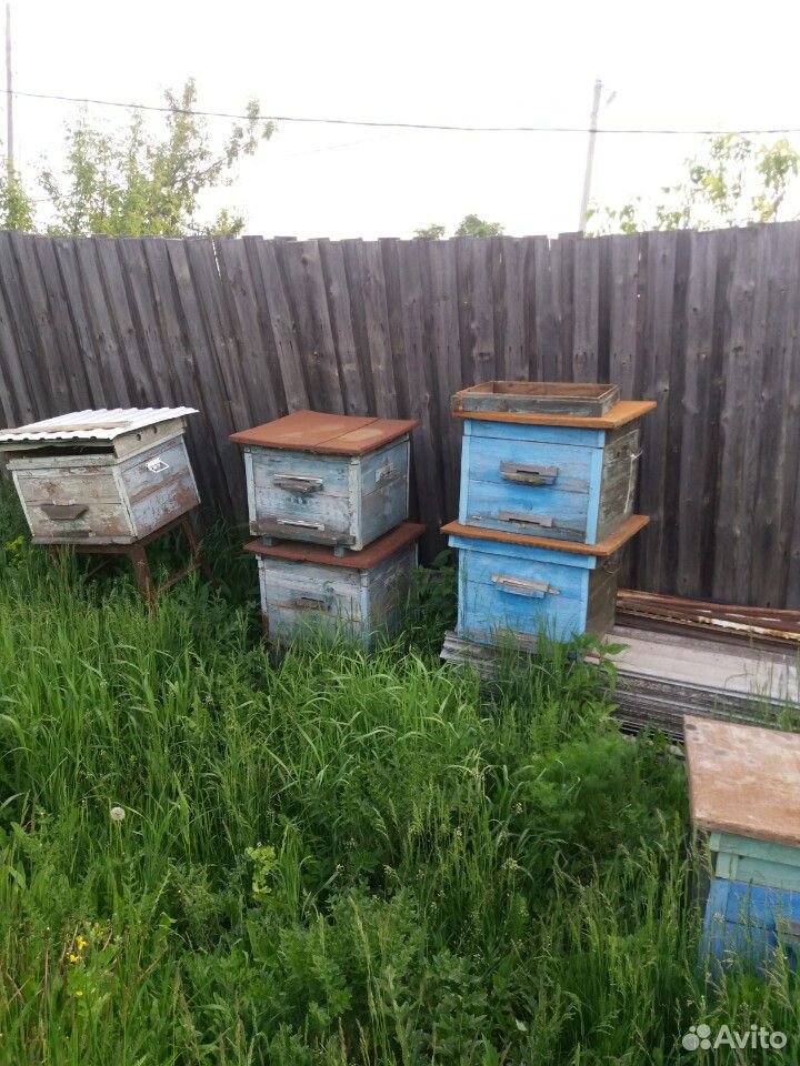 Ульи для пчёл пустые купить на Зозу.ру - фотография № 3