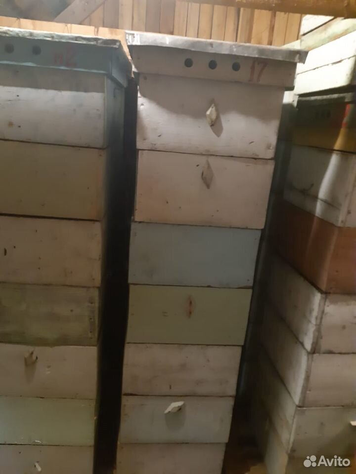 Продам улья для пчел купить на Зозу.ру - фотография № 2