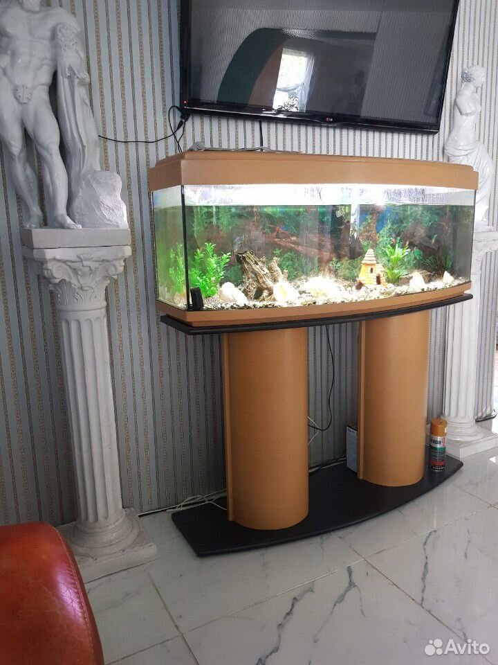 Продам аквариум 200л, с рыбками и оборудованием купить на Зозу.ру - фотография № 5