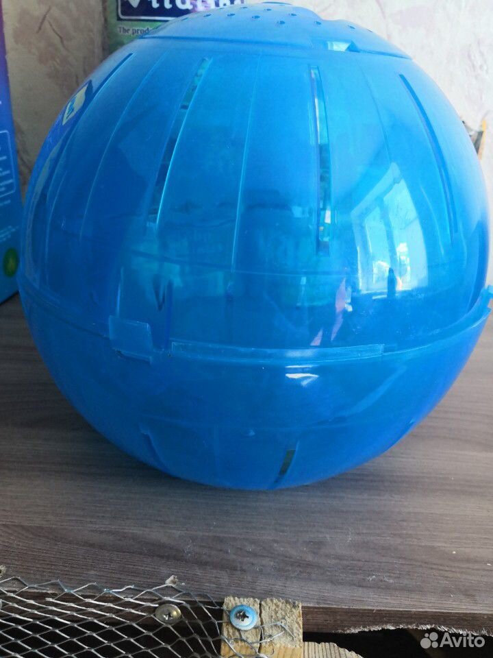 Прогулочный шар для шиншиллы, хорька 25 см купить на Зозу.ру - фотография № 1