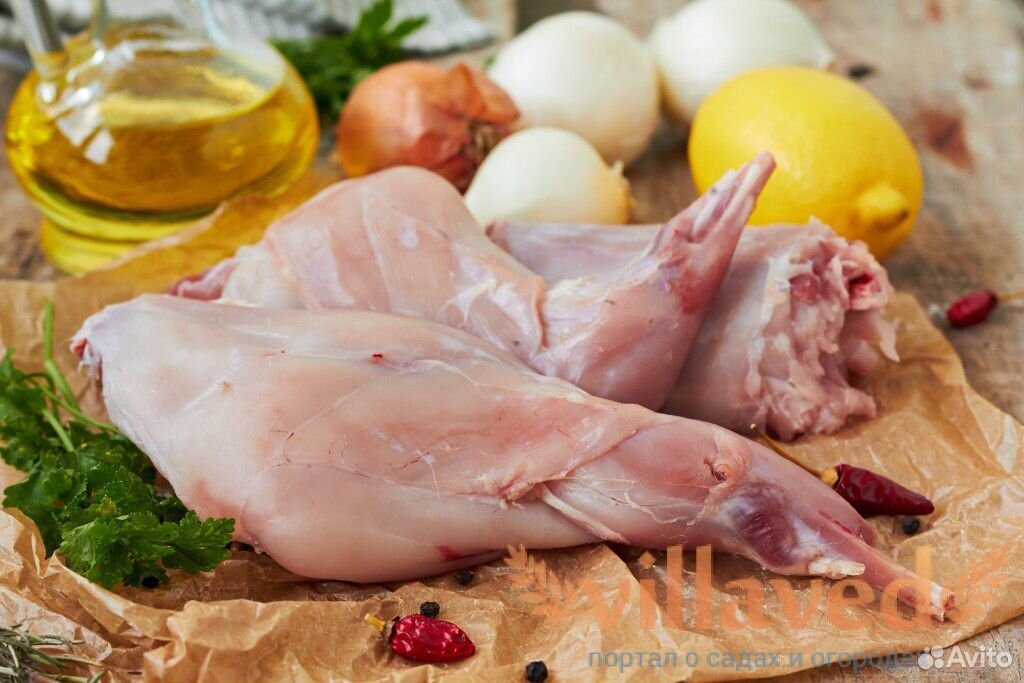 Кролики мясом и в разведение купить на Зозу.ру - фотография № 4
