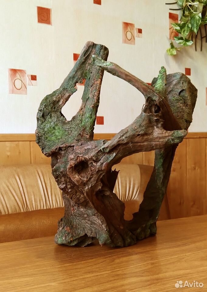 Коряга (корень мангрового дерева) купить на Зозу.ру - фотография № 1