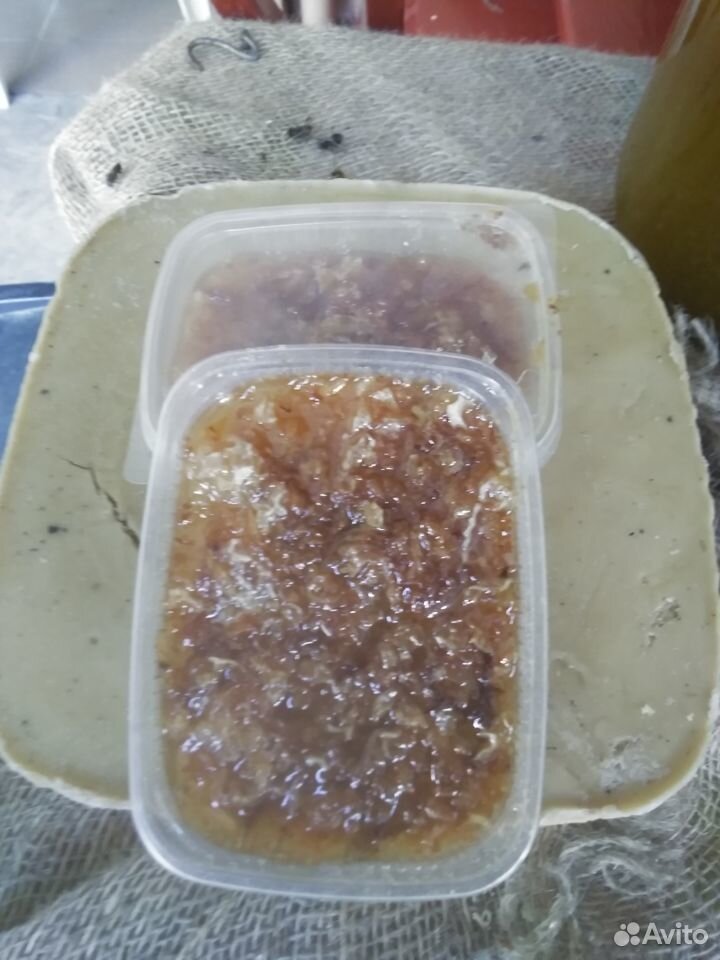 Продаем мед купить на Зозу.ру - фотография № 3