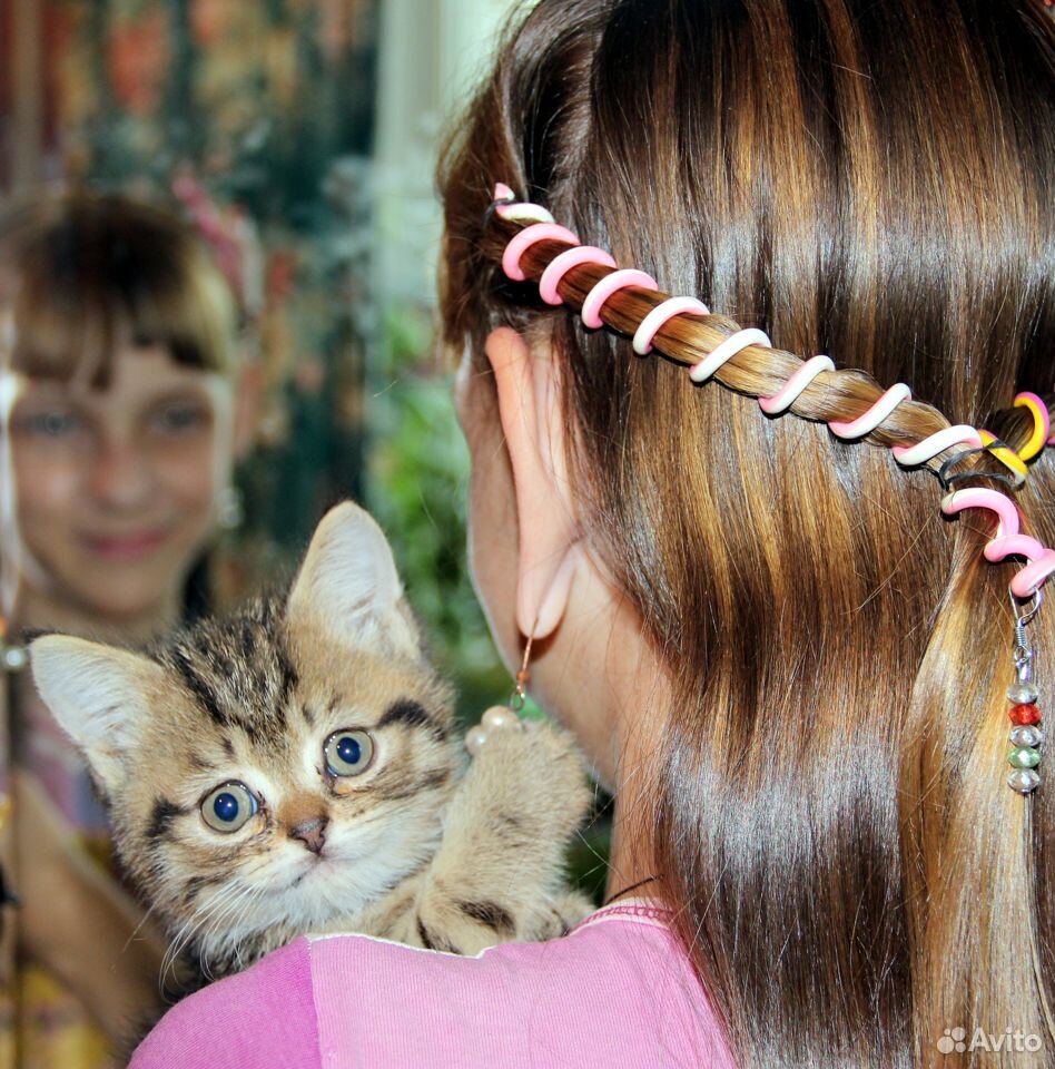 Очаровательный котенок ищет своего человека купить на Зозу.ру - фотография № 5