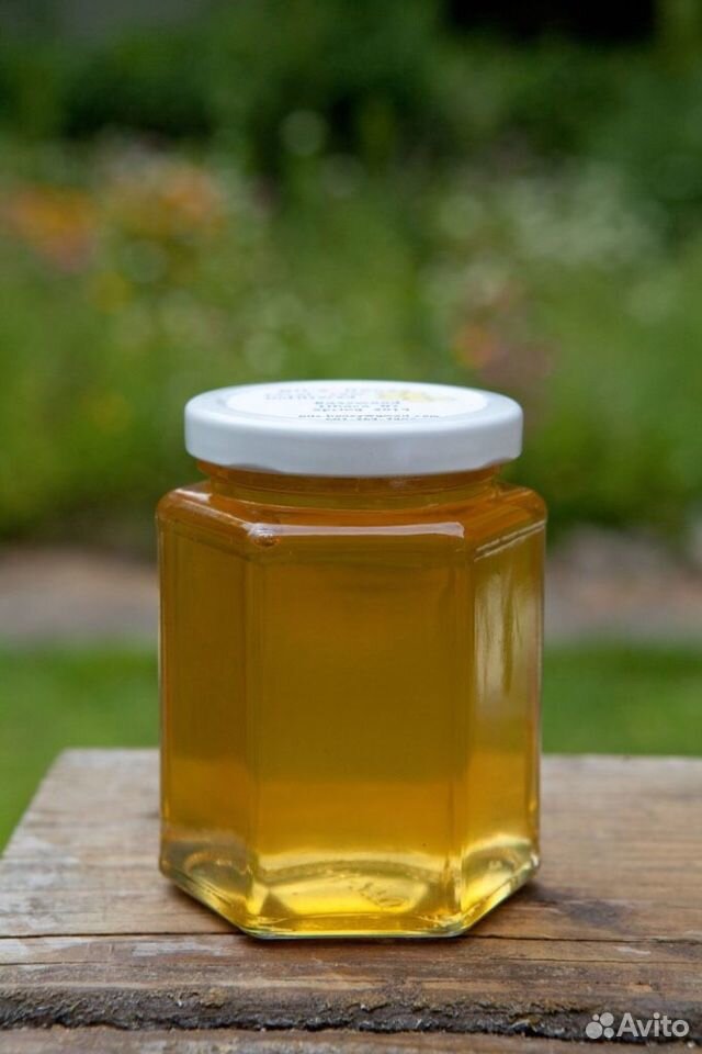 Продам мед купить на Зозу.ру - фотография № 1