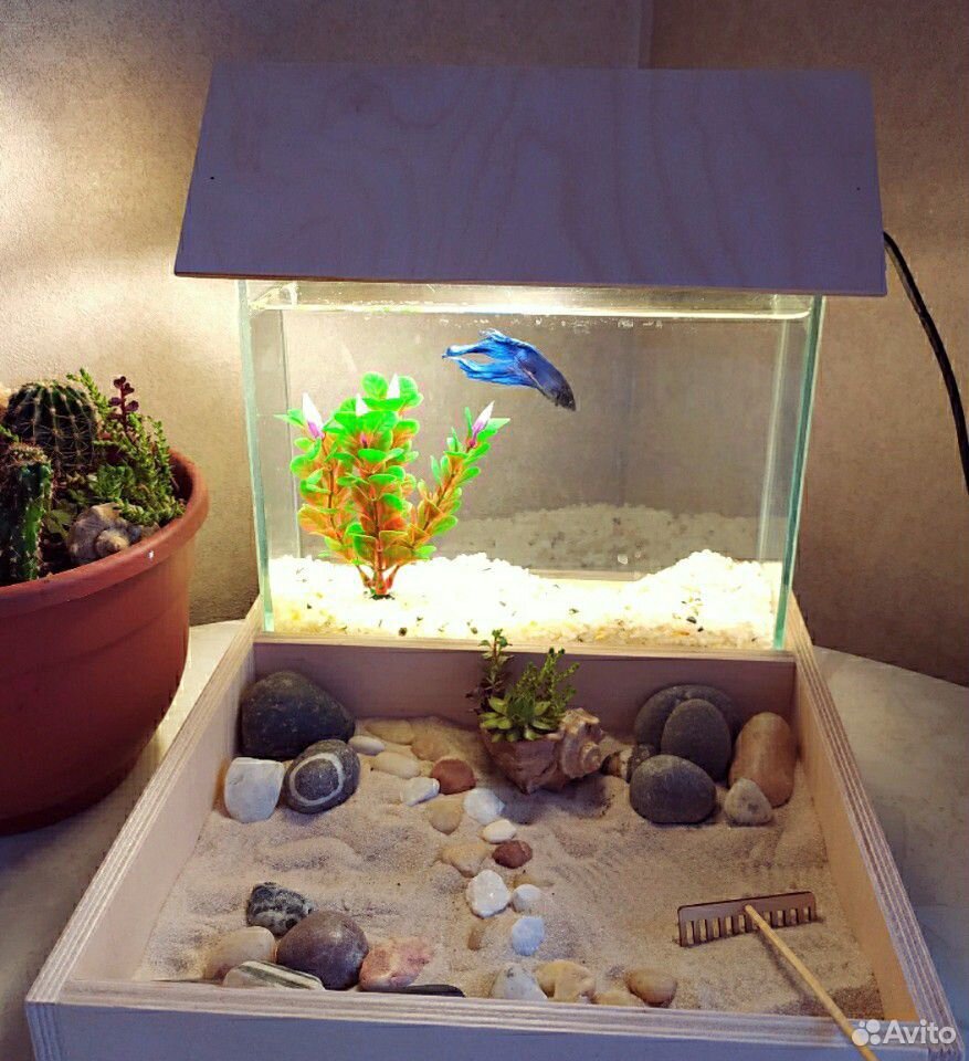 Продам аквариум для рыбки. Японский садик камней купить на Зозу.ру - фотография № 1