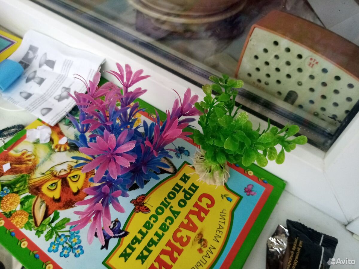 Декоративные водоросли для аквариума купить на Зозу.ру - фотография № 2