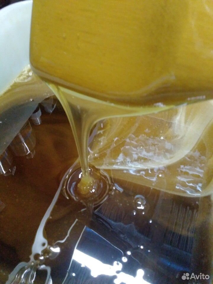 Таёжный мёд купить на Зозу.ру - фотография № 5