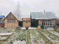 дачный базар пыть-ях. дачные кооперативы пыть- ях. авито пыть ях объявления частных лиц. старый пыть ях красный дом. авито пыть ях объявления частных лиц.