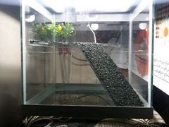 Террариум-аквариум для черепашки(красноухой)