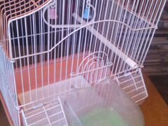 Клетки для домашних птиц