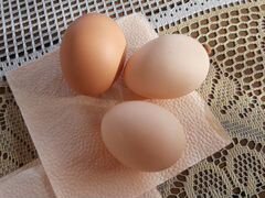 Продам инкубационное яйцо от хохлатых домашних кур