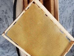 Ящик для пчелопакета