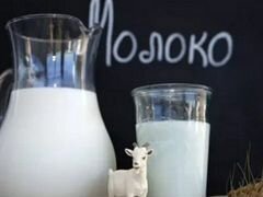Козье молоко