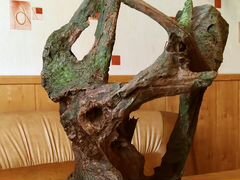 Коряга (корень мангрового дерева)