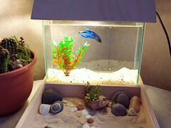 Продам аквариум для рыбки. Японский садик камней