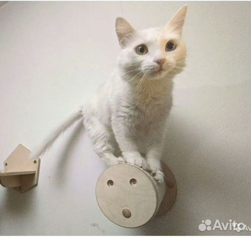 Когтеточка настенная