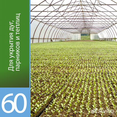 Укрывной материал Агротекс 60гр/м ш.3,2м до -9 гр