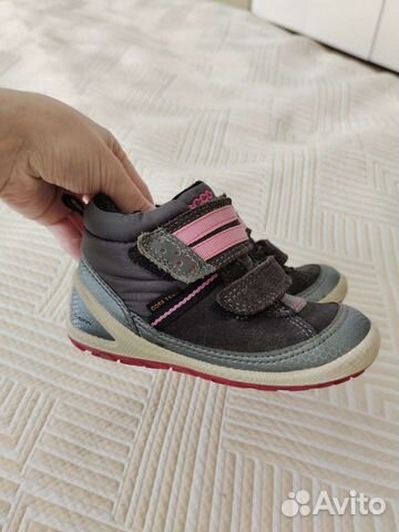 ecco biom 24