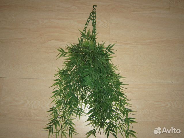 Подковы, веер, амулет, пл. цветы, картина, портрет