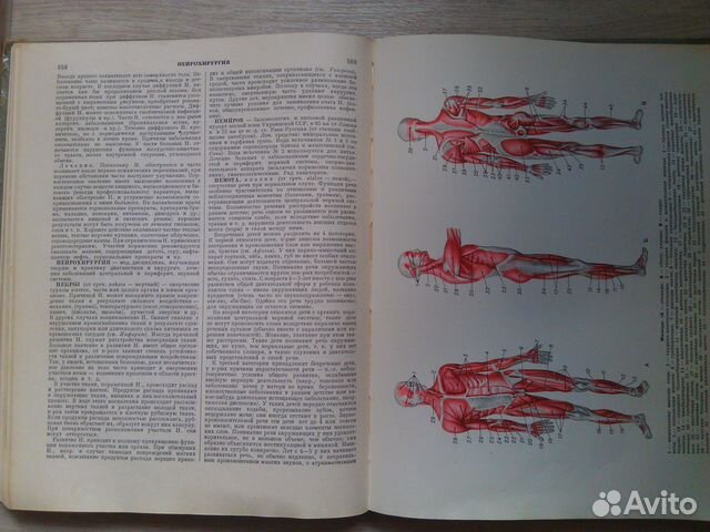 Книга Популярная медицинская энциклопедия 1965г