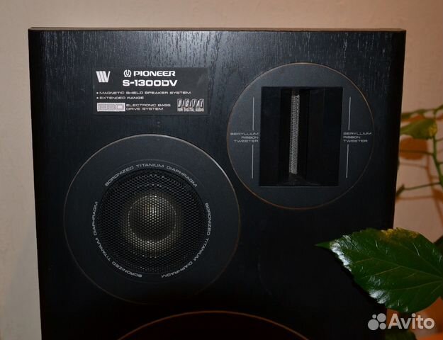 Pioneer S-1300DV