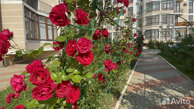 

Квартира-студия, 23 м², 2 кровати