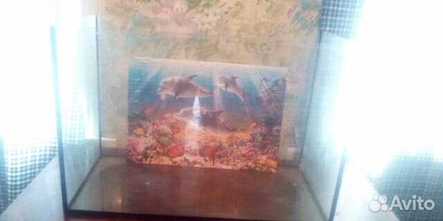 Продается аквариум на 100 литров купить на Зозу.ру - фотография № 3