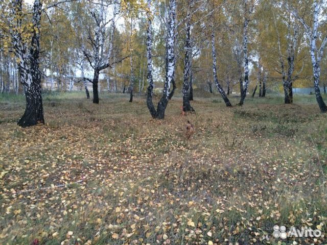Участок 16.2 сот. (ИЖС) Участок 16.2 сот. (ИЖС)