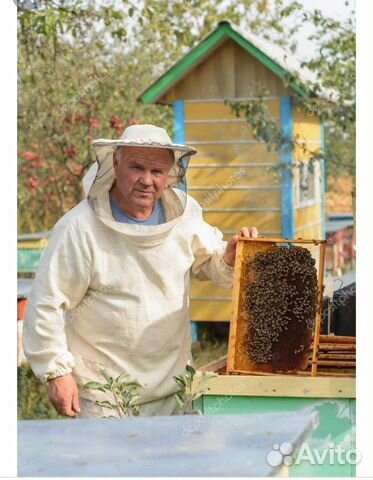 Пчелоинвентарь купить на Зозу.ру - фотография № 1