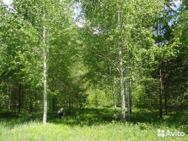 Участок 9.8 сот. (ИЖС) Участок 9.8 сот. (ИЖС)