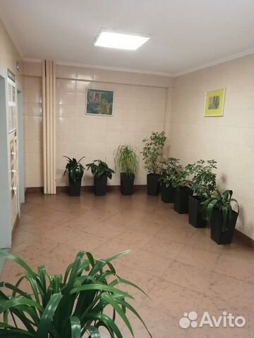 3-к квартира, 74 м², 7/17 эт.