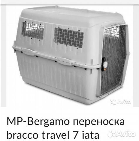 Продам контейнер для перевозки крупных собак купить на Зозу.ру - фотография № 1