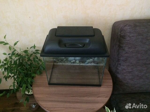 Продаю аквариум, 24 литра купить на Зозу.ру - фотография № 1